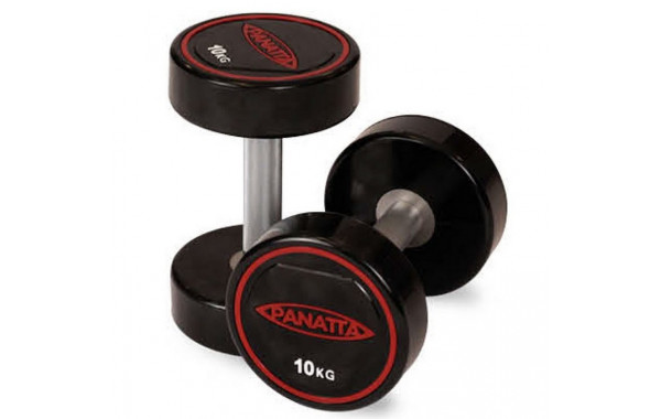 Уретановая гантель 30 кг Panatta 1RD30 600_380