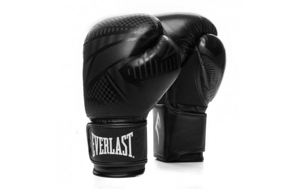 Перчатки тренировочные Everlast Spark 10oz черн/гео. 600_380